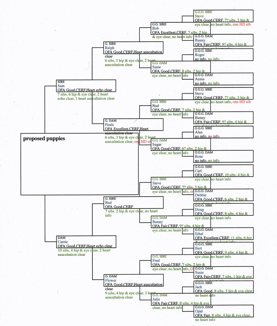 Pedigree research - so important, so easy, but so much work!